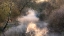 Picture of INTO THE FOG.