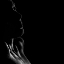 Picture of LIGHT IN BLACK