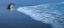 Picture of GO TO SEA
