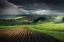 Picture of BEFORE STORM