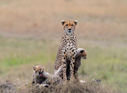 Picture of FAMILY !
