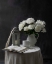 Picture of WHITE PEONY