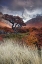 Picture of MISTS OF TIME