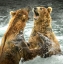 Picture of THE FIGHT
