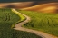Picture of MY PATH