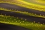 Picture of STRIPES