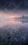 Picture of ONE MORNING I WOKE UP
