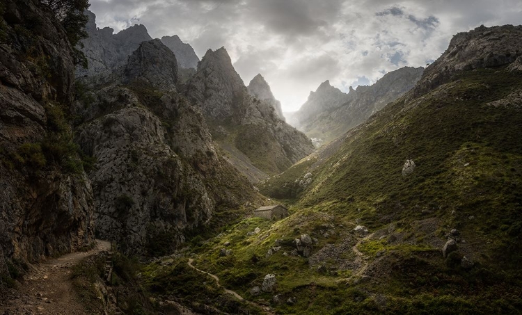 Picture of CASIELLAS