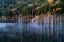 Picture of NATURAL LAKE AUTUMN