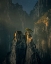 Picture of SUNSHINE IN HUANGSHAN