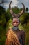 Picture of SURMA VI