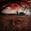 Picture of ANCIENT AUTUMN ...