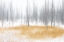 Picture of WINTER SERENITY