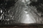 Picture of ON THE OTHER SIDE OF NARNIAS DOOR...