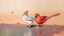 Picture of A BEE AND 2 CARDINALS
