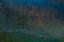 Picture of MILLIONS FLAMINGOS TAKING OFF