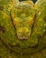 Picture of YELLOW