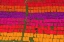 Picture of FIXING COLORFUL DYE CLOTHES