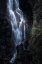 Picture of IN THE VALLEY