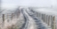 Picture of THE WAY
