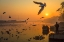 Picture of WINGS OVER YAMUNA