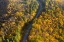 Picture of THROUGH AUTUMN