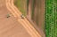 Picture of FIELDS GEOMETRY