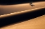 Picture of THE SOLITARY TREE IN THE DESERT