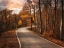 Picture of THE ROAD