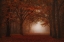 Picture of VELVET RED