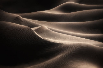 Picture of DESERT HIP