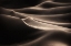 Picture of DESERT HIP