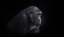 Picture of PENSIVE