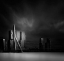 Picture of THE ERASMUS BRIDGE ROTTERDAM THE NETHERLANDS