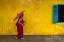 Picture of NOVICE MONK WALKING BY