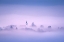 Picture of COLD BREATH