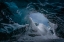 Picture of UNTITLED