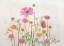 Picture of RANUNCULUS