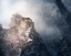 Picture of PEACH BLOSSOM SNOW OF THE GREAT WALL