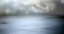 Picture of FOGGY FOREST