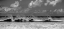 Picture of WAVE TRAIN