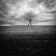 Picture of TO BE ALONE