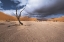 Picture of THE PAST LIFE OF DEADVLEI