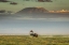 Picture of THE MAGIC OF AMBOSELI