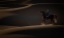 Picture of WATCH THE LIGHT