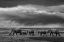 Picture of ELEPHANT MIGRATION
