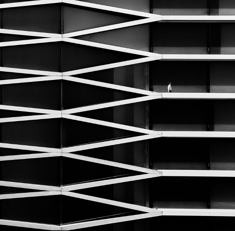 Picture of PARALLEL LINES