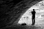 Picture of MUSIC UNDER THE BRIDGE