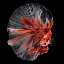 Picture of BETTA FISH