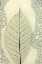 Picture of LEAF
